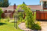 3644 Walnut Ave - Photo 30