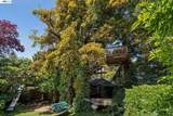 1339 Bay Street - Photo 34