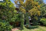 1339 Bay Street - Photo 38