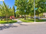 2520 Snowy Egret St - Photo 29