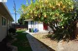 38011 Temple Way - Photo 50