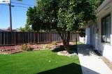 38011 Temple Way - Photo 63