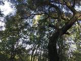 0 Canon Dr - Photo 5