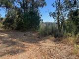 0 Castroville Blvd - Photo 5