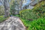 1331 Shelter Creek Ln - Photo 2