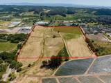 43 Acres Sill Rd - Photo 6