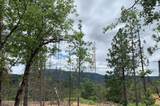 8655 Harrington Flat Road - Photo 4