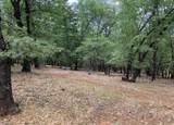 8655 Harrington Flat Road - Photo 5