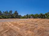 7765 Paseo Venado - Photo 19