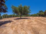 7765 Paseo Venado - Photo 20