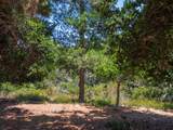 7765 Paseo Venado - Photo 24