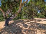 7765 Paseo Venado - Photo 27