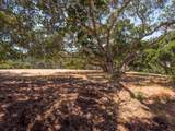 7765 Paseo Venado - Photo 34