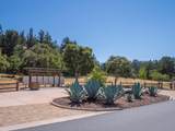 7765 Paseo Venado - Photo 43