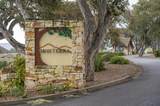 7765 Paseo Venado - Photo 45