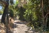 3130 Soquel Dr - Photo 4