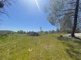 0 Deep Forest Dr - Photo 10