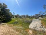 0 Deep Forest Dr - Photo 5