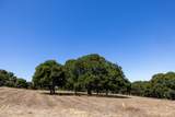 8160 Manjares - Photo 10
