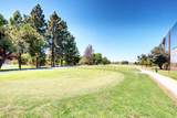 1035 Onofrio Ln 4 - Photo 50