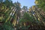 446 Old La Honda Rd - Photo 3