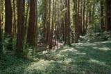 446 Old La Honda Rd - Photo 7