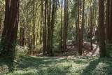 446 Old La Honda Rd - Photo 8
