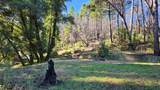 360 Wildberry Dr - Photo 13