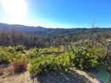 360 Wildberry Dr - Photo 14