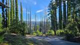 360 Wildberry Dr - Photo 9