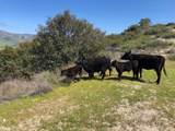 Indian Creek Ranch, Carmel Valley Rd - Photo 3