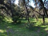 Indian Creek Ranch, Carmel Valley Rd - Photo 37