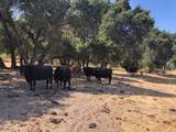 Indian Creek Ranch, Carmel Valley Rd - Photo 42