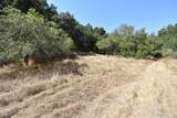 443A Alexander Ln - Photo 52