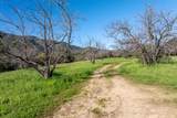 29 East Carmel Valley Rd - Photo 9