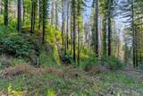 21200 Big Basin Way - Photo 18