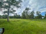 0 Avacado Rd - Photo 16