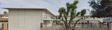 4460 Cotton Ct - Photo 8