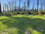 4605 Last Chance Rd - Photo 13