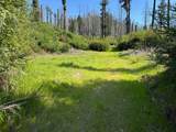 4605 Last Chance Rd - Photo 3