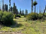 4605 Last Chance Rd - Photo 6