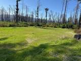 4605 Last Chance Rd - Photo 7