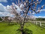 5390 Little Uvas Rd - Photo 25