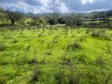5390 Little Uvas Rd - Photo 29