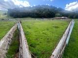 5390 Little Uvas Rd - Photo 38