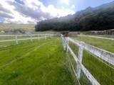 5390 Little Uvas Rd - Photo 41