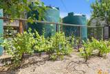 23583 Summit Rd - Photo 105