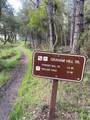 576 Sims Rd - Photo 36