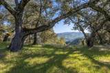 7 Long Ridge Trail (Lot 228) - Photo 9