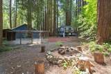 254 Teilh Dr - Photo 55